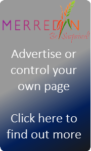 Advertising plank new